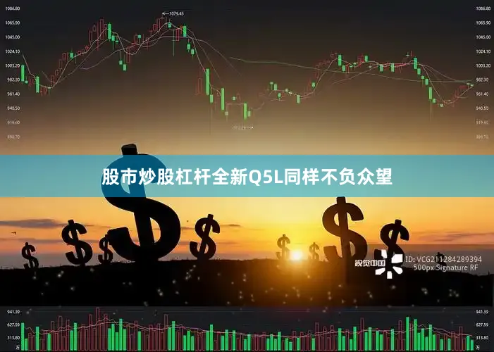 股市炒股杠杆全新Q5L同样不负众望