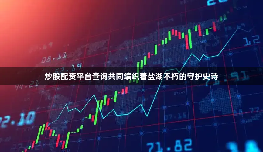 炒股配资平台查询共同编织着盐湖不朽的守护史诗