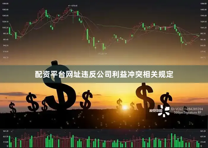 配资平台网址违反公司利益冲突相关规定