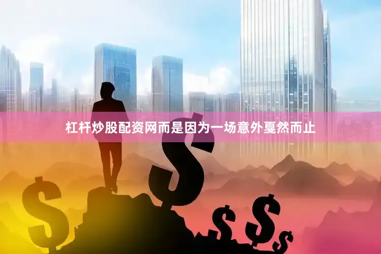 杠杆炒股配资网而是因为一场意外戛然而止