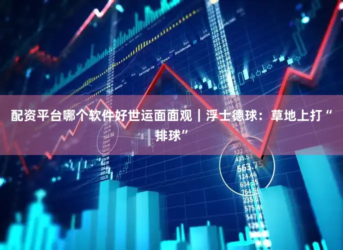 配资平台哪个软件好世运面面观｜浮士德球：草地上打“排球”