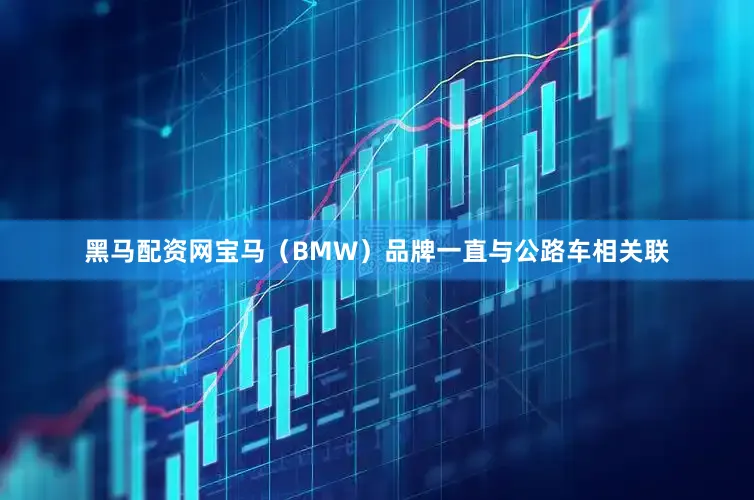 黑马配资网宝马（BMW）品牌一直与公路车相关联